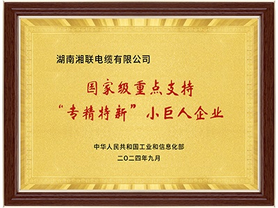 國(guó)家級(jí)專(zhuān)精特新“小巨人”企業(yè)