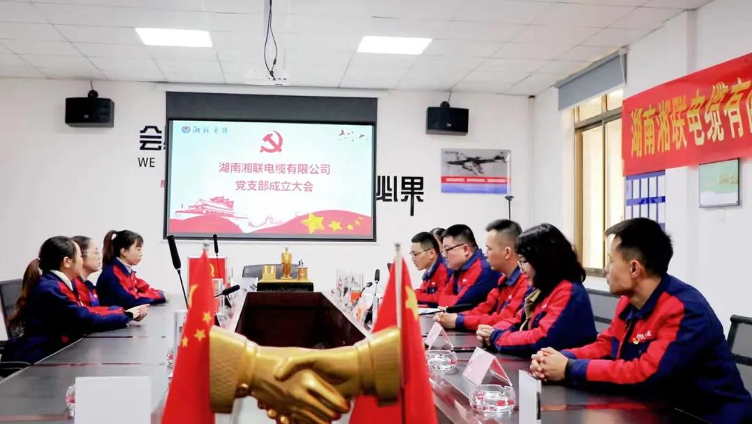 新征程 | 熱烈祝賀湖南湘聯(lián)電纜有限公司黨支部正式成立！