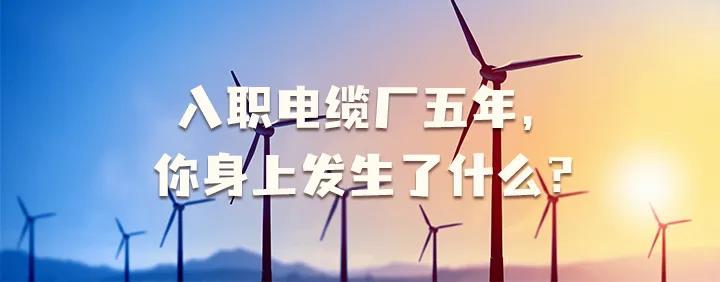 入職電纜廠五年，你身上發(fā)生了哪些變化~